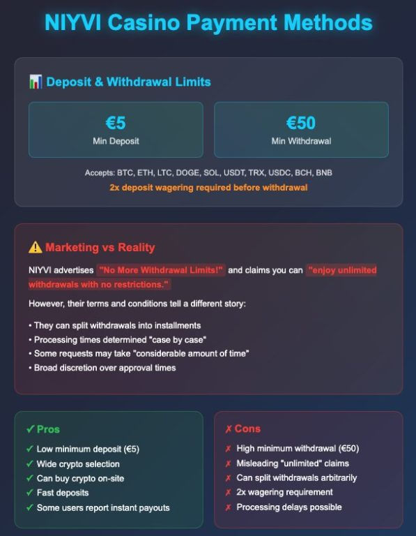 NIYVI Casino payment methods