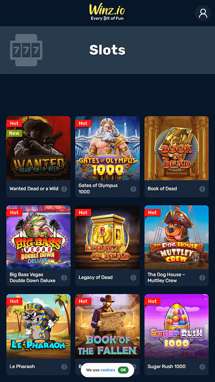 Winz.io slots