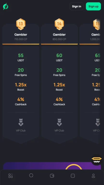 Coinslotty VIP program
